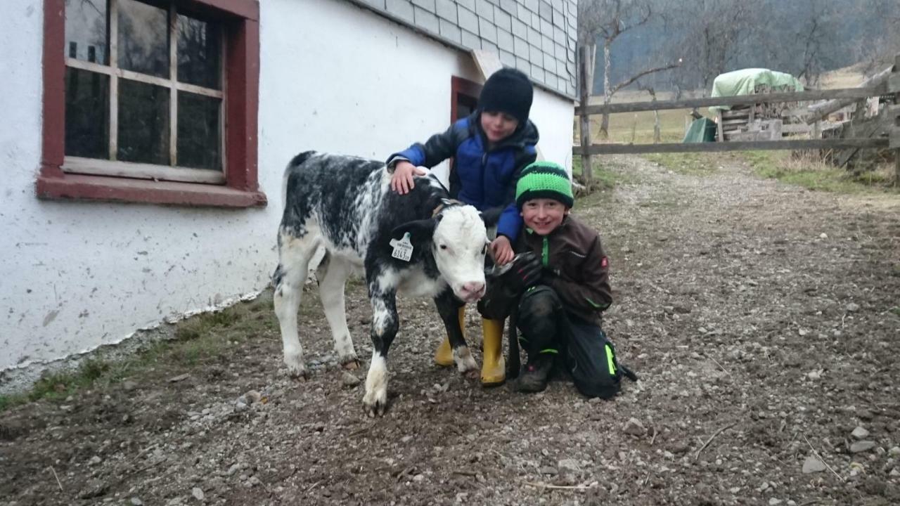 Fumerhof Strobl Luaran gambar