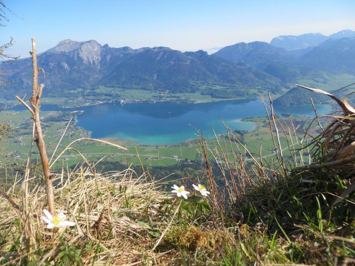 Fumerhof Strobl Luaran gambar