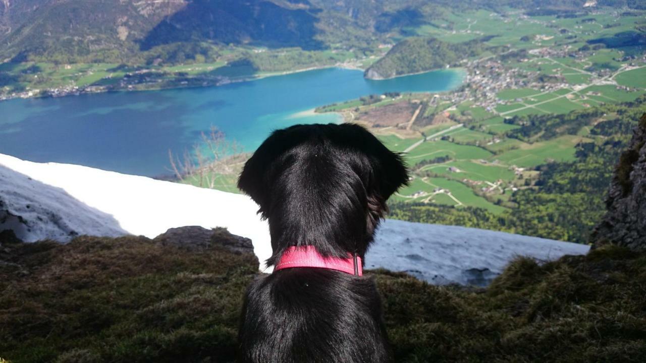 Fumerhof Strobl Luaran gambar