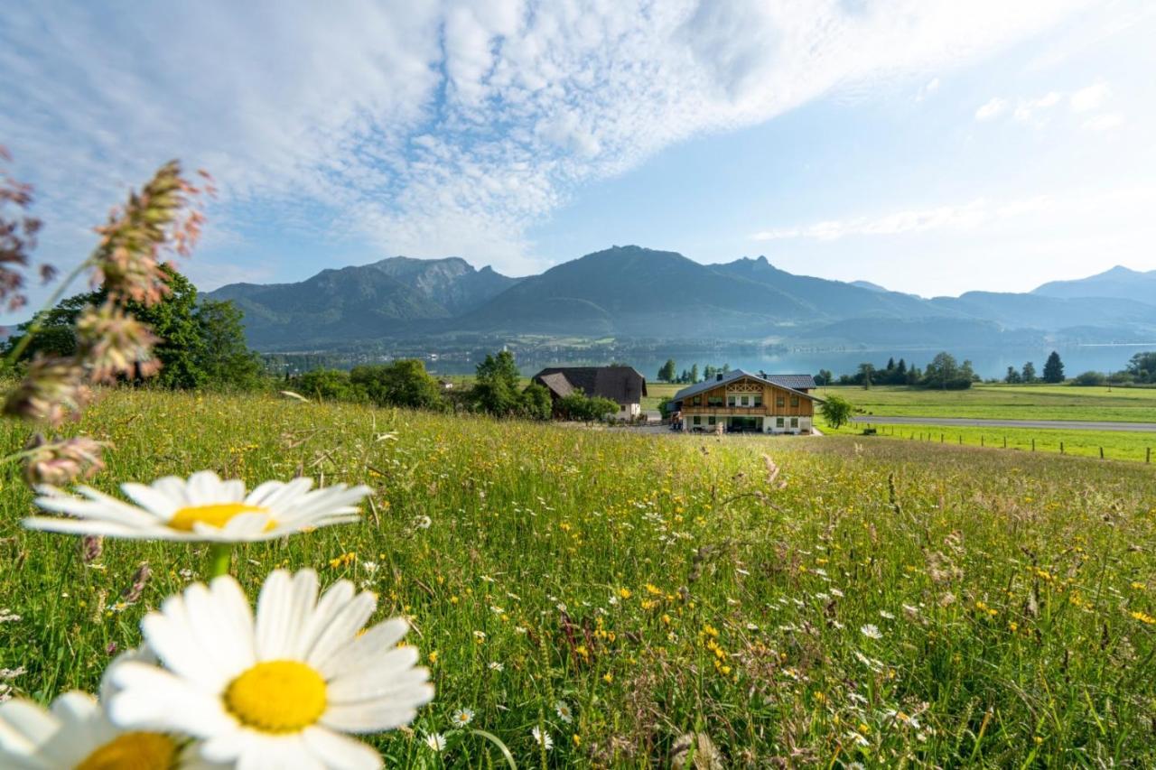 Fumerhof Strobl Luaran gambar